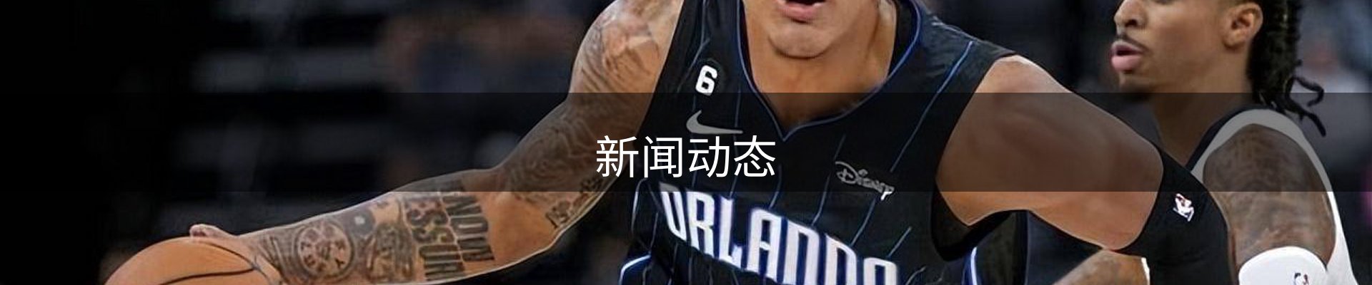 新闻动态